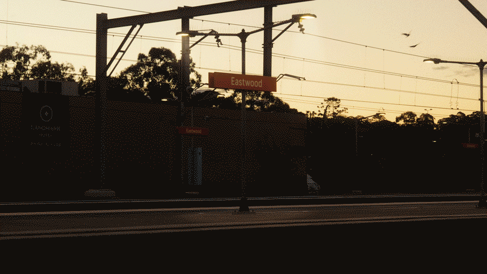 Eastwood Special Entertainment Precinct | Lyndal Howison